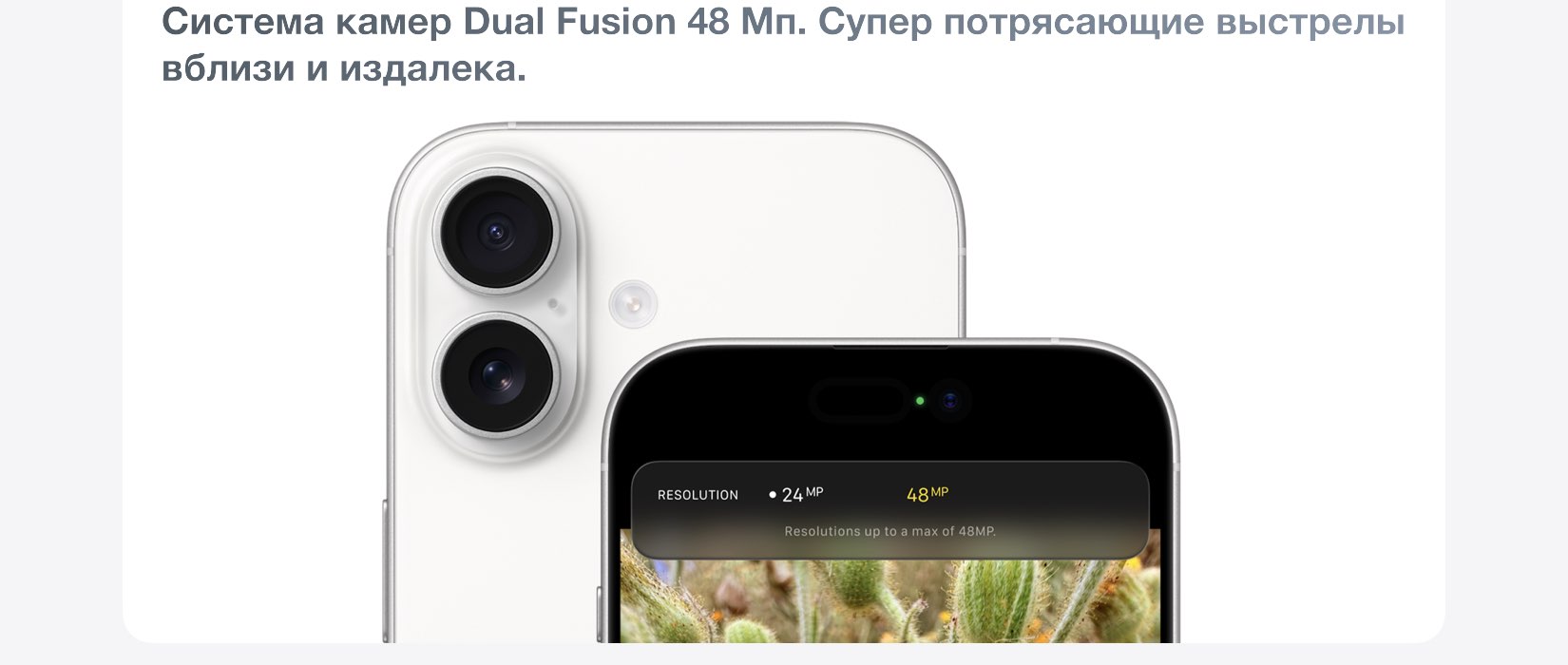 iPhone 17 iPhone 17